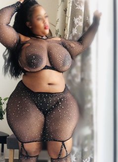 Starbbw big boobs&booty(analsexsloppybj) - escort in Dubai Photo 15 of 15