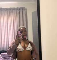 Stargyel - escort in Johannesburg