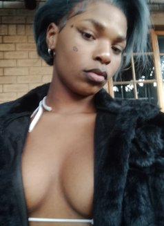 Stargyel - escort in Johannesburg Photo 5 of 10