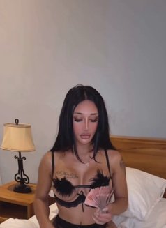 STASSIE🇬🇧🇮🇩 - Acompañantes transexual in Bali Photo 26 of 26