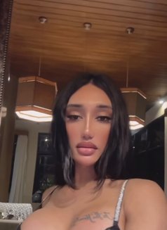 STASSIE JUST ARRIVED🇬🇧🇮🇩 - Transsexual escort in Dubai Photo 5 of 28