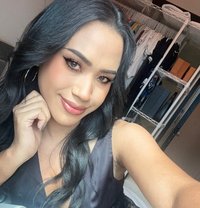 Stefani - Transsexual escort in Bangkok