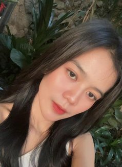 Stefani New in Kl - escort in Kuala Lumpur Photo 4 of 6