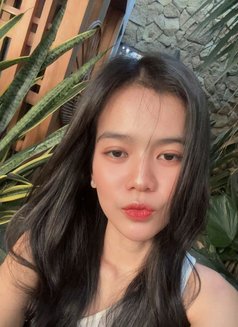 Stefani New in Kl - escort in Kuala Lumpur Photo 5 of 6