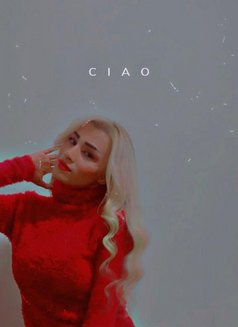 Steff - escort in Beirut Photo 3 of 4