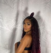 Steffany - Transsexual escort in Barcelona