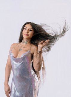 Steffany - Transsexual escort in Barcelona Photo 6 of 13