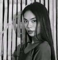 Steffi New Arrive - Transsexual escort in Manila