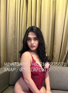 Stela Fox 🇵🇭 - Transsexual escort in Dammam Photo 6 of 17