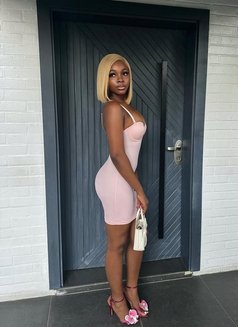 STELLA NEW ARRIVAL IN BANGKOK - escort in Bangkok Photo 2 of 4