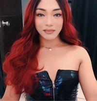 Stella - Transsexual escort in Manila