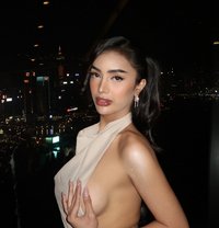 Stella Just Arrived - Transsexual escort in Hong Kong