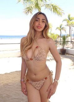 Stella Just Arrived - Transsexual escort in Hong Kong Photo 6 of 13