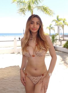 Stella Just Arrived - Transsexual escort in Hong Kong Photo 8 of 13