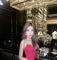 Stella LUXURY only VIP - escort in Bangkok