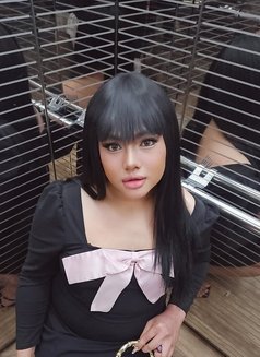 Stella - Acompañantes transexual in Al Manama Photo 11 of 11