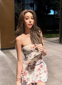 Stella - Transsexual escort in Bangkok Photo 10 of 13