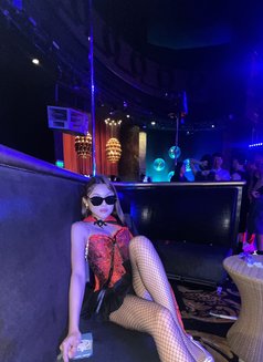 Steph, Gfe - escort in Taipei Photo 1 of 4