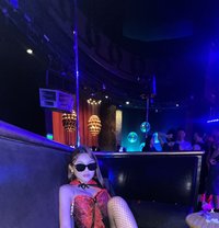 Steph, Gfe - escort in Taipei
