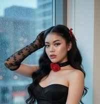 Steph / Newest escort / baby girl - puta in Kuala Lumpur