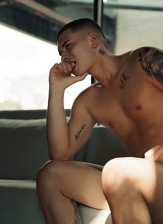 Stephan - Male escort in Paris Photo 6 of 8