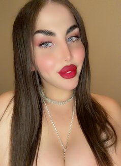 Stephanie alali - Transsexual escort in Beirut Photo 17 of 17