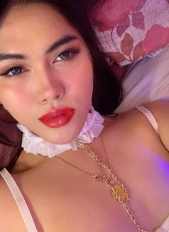Stephanie all natural - Transsexual escort in Manila Photo 21 of 29