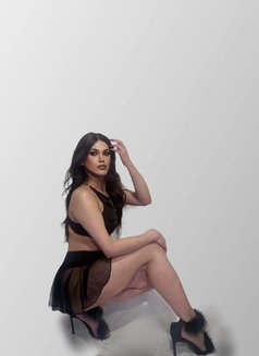 Stephanie - Transsexual escort in Beirut Photo 4 of 15