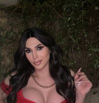 Stephanie.Swaya (Lebanese) - Transsexual escort in Beirut Photo 1 of 14