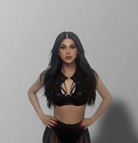 Stephanie - Transsexual escort in Beirut