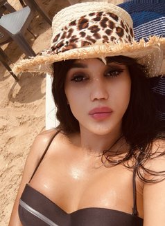 Stephanie - Transsexual escort in Beirut Photo 16 of 16