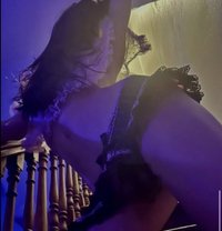 Stephaniex - Acompañantes transexual in Brisbane