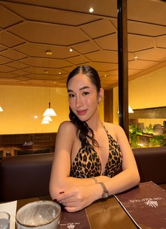 Stephy - Transsexual escort in Hong Kong Photo 1 of 5