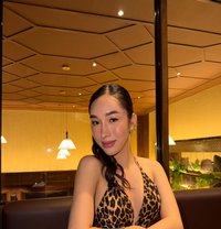 Stephy - Acompañantes transexual in Hong Kong