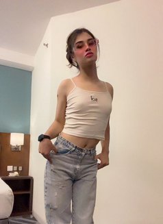 Stevan - Acompañantes transexual in Kuala Lumpur Photo 6 of 6
