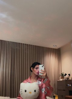 Steve - Male escort in Riyadh Photo 1 of 5