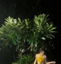 Stormi( - Transsexual escort in New Delhi