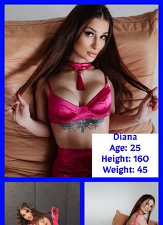 Strawberry Agency - escort in Dubai Photo 12 of 12