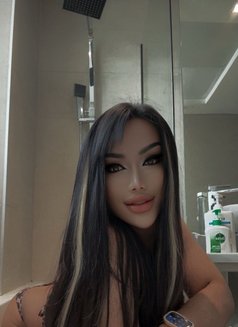 Sexy Lady Ladyboy Nabi - Transsexual escort in Dubai Photo 2 of 6
