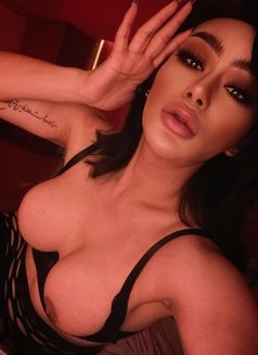 KIM Kimberry_strong Dick &Clean - Transsexual escort in Al Manama Photo 10 of 12