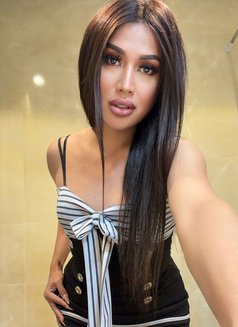 Wild mistress Desire (strong poppers) - Transsexual escort in Dubai Photo 13 of 16
