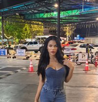 Stunning Hottie Kate - Transsexual escort in Pattaya