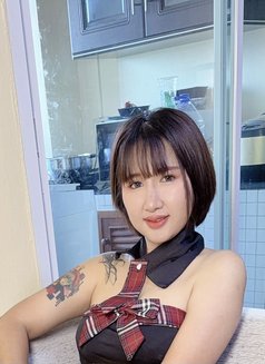 Sugar new comming 2500฿ in call - escort in Chiang Mai Photo 7 of 18
