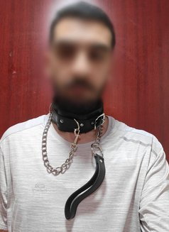 Submissive Servant - Male escort in Dubai Photo 5 of 5