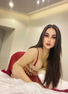 Suchata ladyboy Thailand 🇹🇭 - Acompañantes transexual in Ajmān Photo 3 of 4