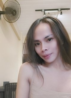 Suckable Mistress - Acompañantes transexual in Manila Photo 1 of 2