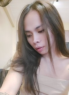 Suckable Mistress - Acompañantes transexual in Manila Photo 2 of 2