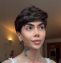 Suel - Male escort in London