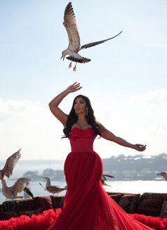 Suellen Porto - Transsexual escort in Dubai Photo 6 of 8