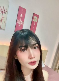 Sueri - Agencia de acompañantes transexuales in Phuket Photo 1 of 11